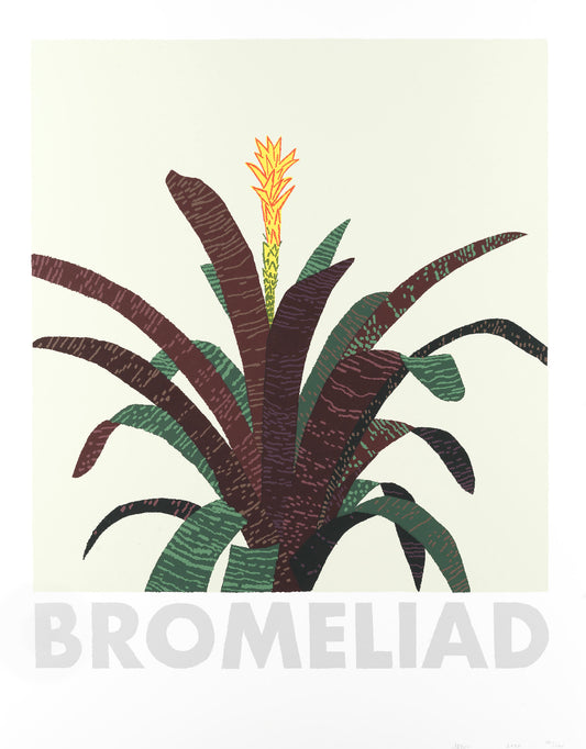 Jonas Wood - Bromeliad